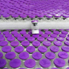 MT-2 Injection Cas 121062-08-6 Melanotan 2 Acetate Sample Factory Price Wholesale Door To Door 