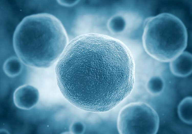 The Rise of Chinese Peptide Manufacturers: Technological Breakthroughs And Market Competition Analysis